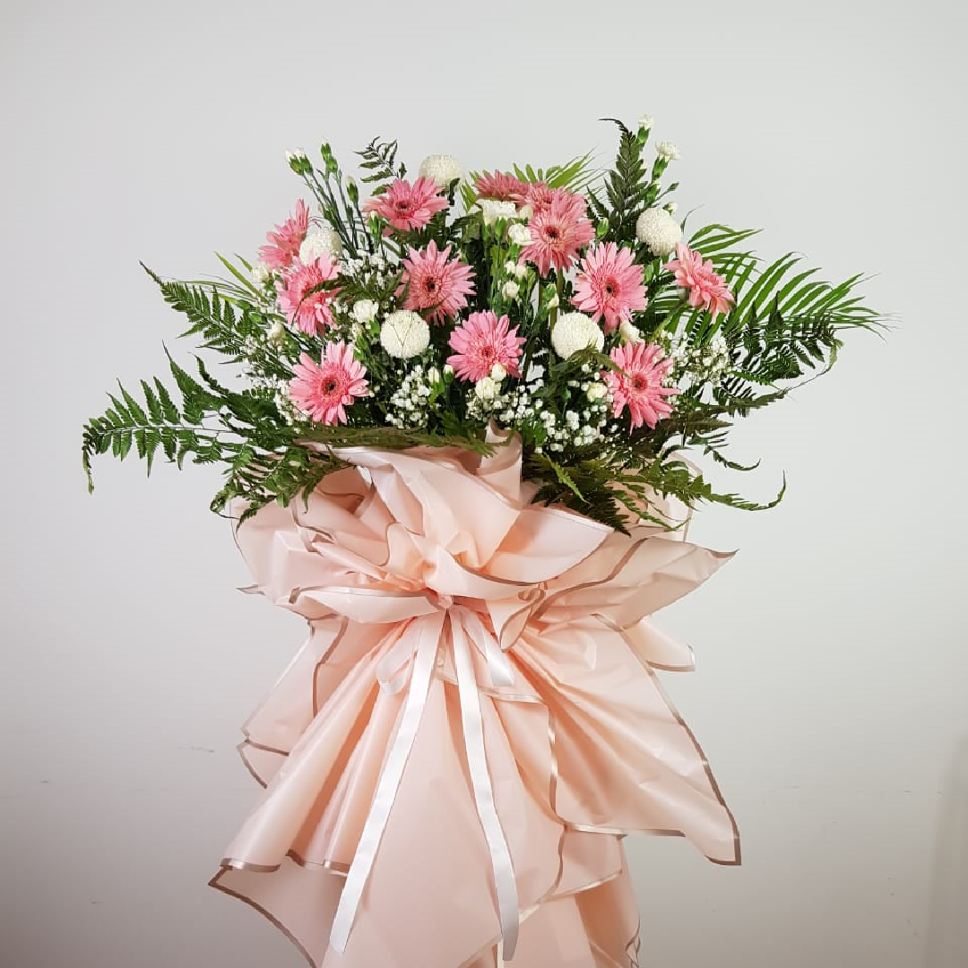 Opening Stand Welcome